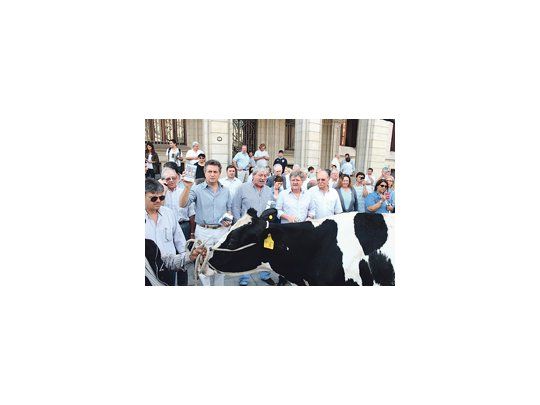 Los dirigentes de la Mesa de Enlace protestaron ayer junto con productores tamberos frente al Ministerio de Agricultura ordeñando una vaca para mostrar la crisis que afecta al sector .