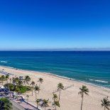 La Vibrio vulnificus se desarrolla principalmente en aguas costeras cálidas y salobres. La Vibrio vulnificus se desarrolla principalmente en aguas costeras cálidas y salobres.