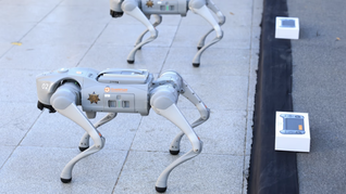 Guadalupe, en Monterrey, incorporó perros robot tácticos para reforzar la seguridad de cara al Mundial 2026. Guadalupe, en Monterrey, incorporó perros robot tácticos para reforzar la seguridad de cara al Mundial 2026.