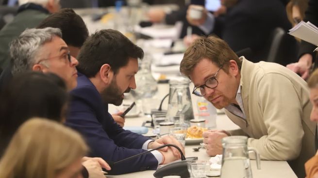 Pablo Juliano y Nicolás Massot, referentes de bloques que apoyaron el dictamen.