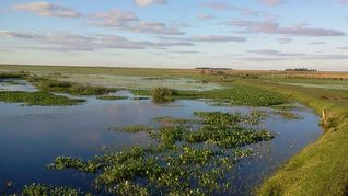 Esteros del Iberá, una de las zonas clave reconocidas a nivel mundial por su importancia de la biodiversidad.