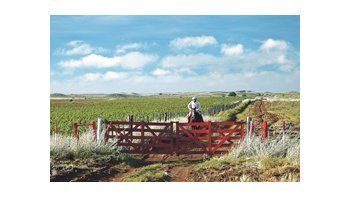 Argentina tiene su base agropecuaria en los arrendamientos, el 70% de la agricultura se hace sobre campos alquilados. La rentabilidad agrícola descendió paulatinamente en las últimas campañas.
