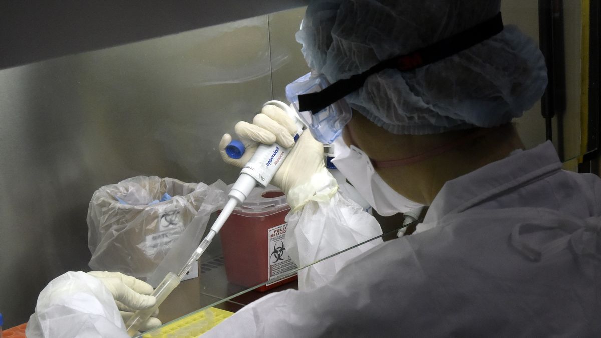 El efecto rebaño comienza con el 70% de la población vacunada ...