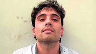 de cuanto era la fortuna de ovidio guzman en sus anos como narcotraficante lider de los chapitos: asi es la escondio