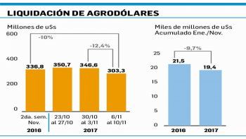 Liquidación de divisas del agro bajó 12,4% hasta los u$s 303,3M