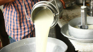 La caída del endeudamiento coincide con mejores precios internacionales de la leche y mayor productividad. La caída del endeudamiento coincide con mejores precios internacionales de la leche y mayor productividad.