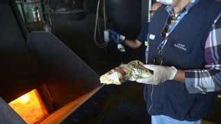 30 kg de drogas quemadas.