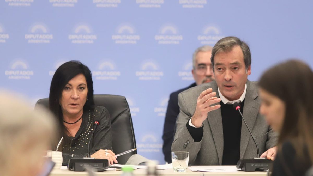 Unanimity in Deputies to advance a law against tax evasion