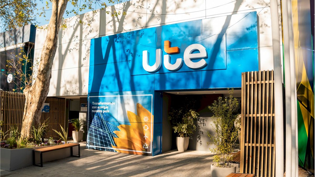 UTE recorded a profit of US4M in the first quarter