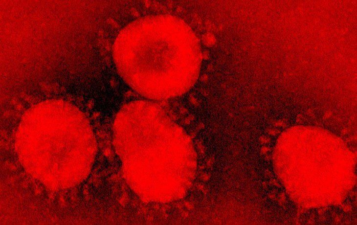El coronavirus fue declarado pandemia por la OMS.&nbsp;