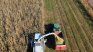 The agro -export sector celebrated the new government measures. The agro -export sector celebrated the new government measures.