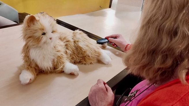 El uso de la llamada roboterapia con personas mayores es un tratamiento no farmacológico que usa robots con forma de mascotas para estimular la mente, regular las emociones y la interacción entre los individuos.&nbsp;