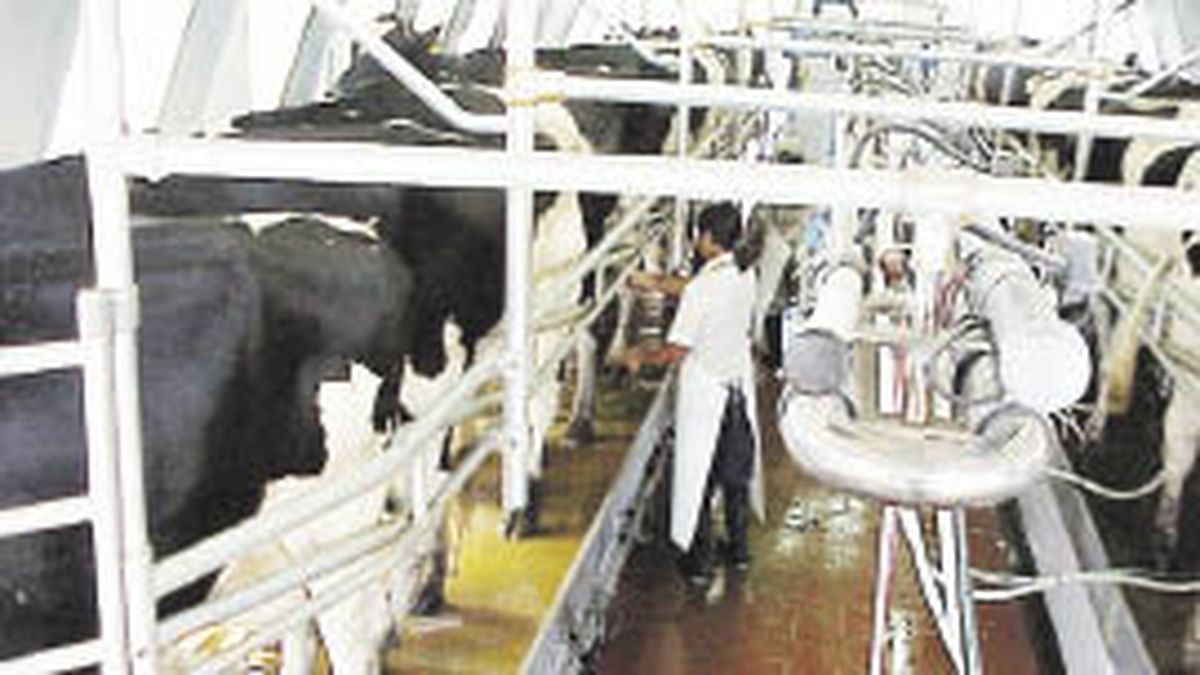The government returned US$2.5 million to dairy farmers in Uruguay