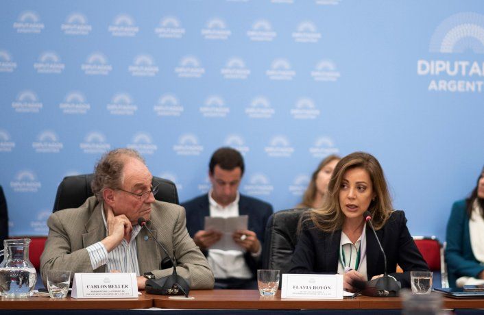 Flavia Royón, secretaria de Energía