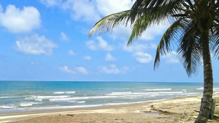 Las mejores playas de Veracruz para pasar el invierno 2025.