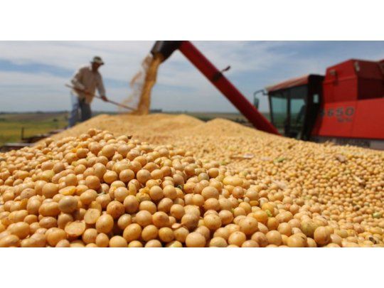 La soja perdió un 1,9% a u$s 309,39, por perspectivas de buenas cosechas
