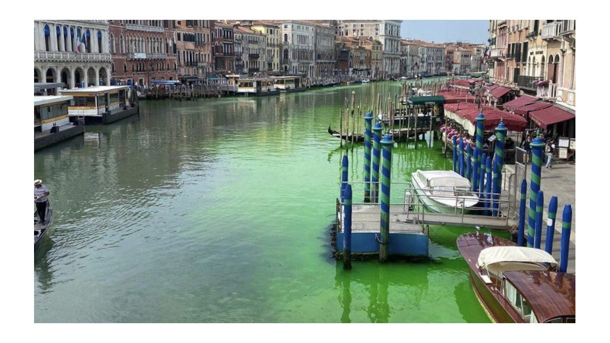 the Grand Canal in Venice appeared dyed green