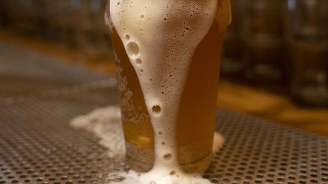 Los científicos del CONICET incrementaron la producción de un tipo de hongo comestible y generaron biogás empleando desechos de cervecerías artesanales.