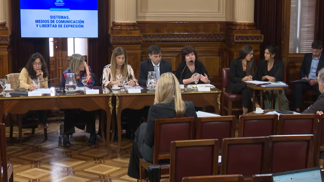 Periodistas expusieron en el Senado.