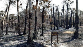 Los incendios del jueves pasado destruyeron un total de 80 hectáreas del parque provincial San Cayetano de Corrientes.