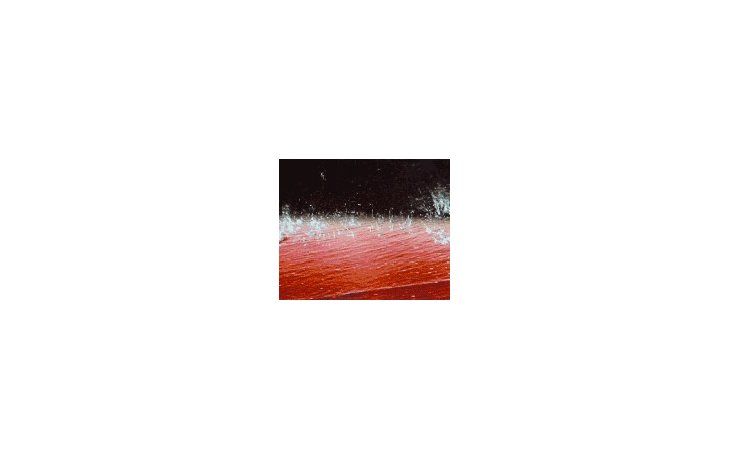 ámbito.com | Videoinstalación de Rivas.