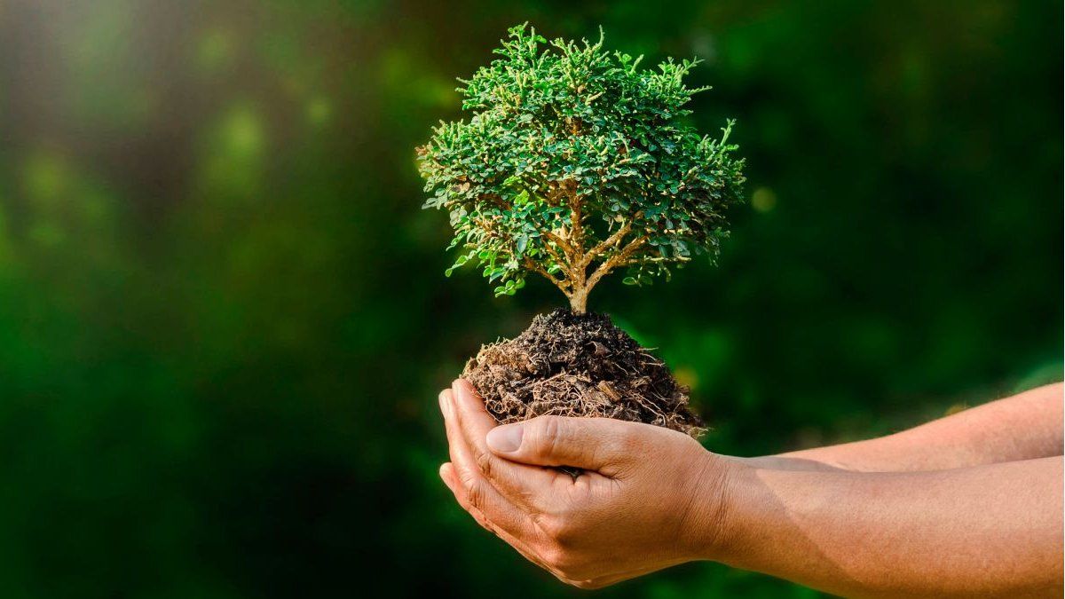 World Environment Day: regeneration as the key to achieving change