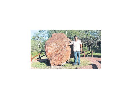 Chaco: cráteres y meteoritos milenarios en la reserva de campo del cielo