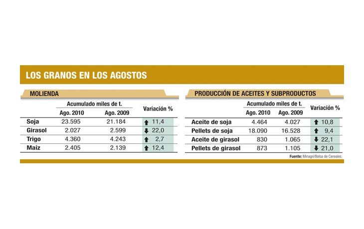 Exportación de granos cayó en embarques y divisas