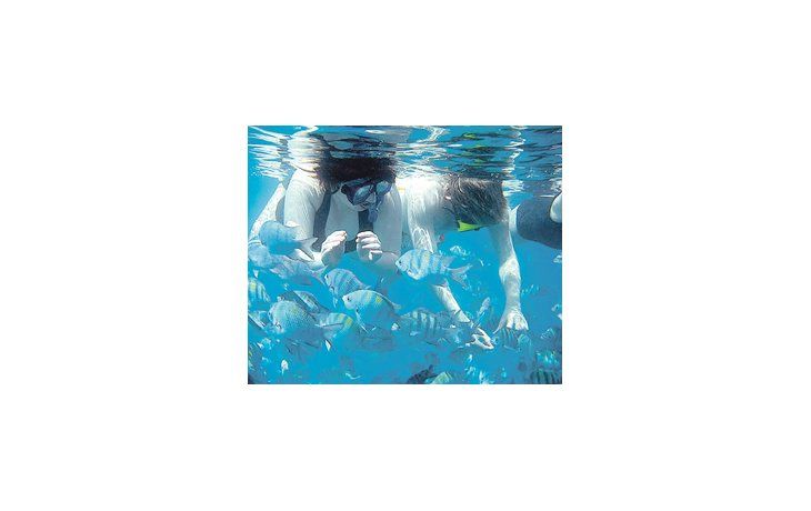 ámbito.com | Los diversos tipos de buceo reinan en las playas calmas y el surf en las bravas.