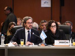 Santiago Cafiero: Seríamos más débiles sin Mercosur.