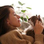 Especialistas en comportamiento animal explicaron que los gatos crean vínculos basados en la confianza, el respeto y las rutinas diarias. Especialistas en comportamiento animal explicaron que los gatos crean vínculos basados en la confianza, el respeto y las rutinas diarias.