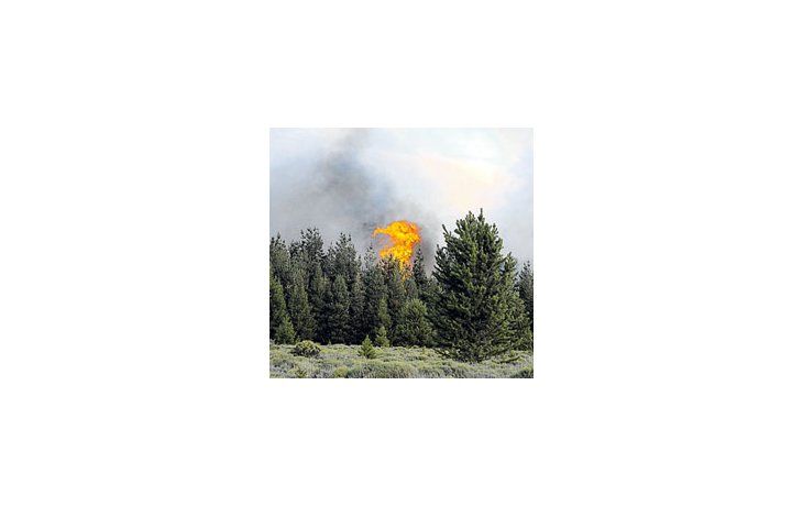 Las llamas que devoran los bosques nativos pueden verse desde varios kilómetros.Los brigadistas esperan ayuda nacional para combatirlas.