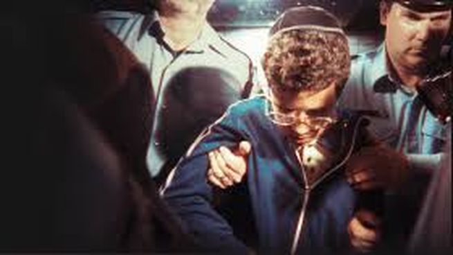 Netflix: the true crime miniseries about a boy who murdered his family that has 30-minute chapters