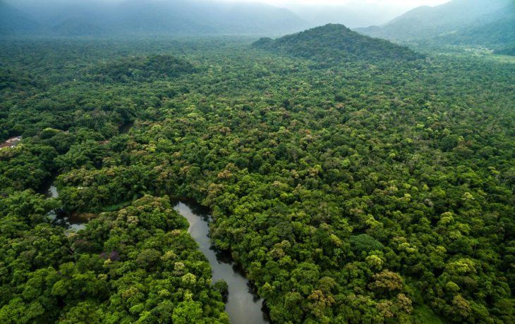 Caracterizado por el calor extremo y la humedad, el clima hipertropical aumenta los riesgos de sequías e incendios en el Amazonas. Caracterizado por el calor extremo y la humedad, el clima hipertropical aumenta los riesgos de sequías e incendios en el Amazonas.