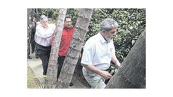 Néstor Kirchner, Hugo Chávez y Lula da Silva, ayer en Brasilia.