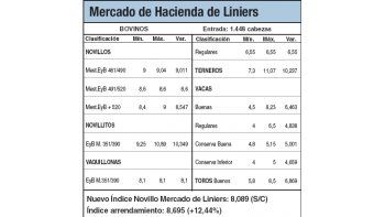 Nuevo récord en los novillitos