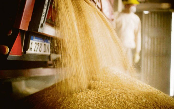 Molino Campodónico quiere abrir exportación de harina orgánica