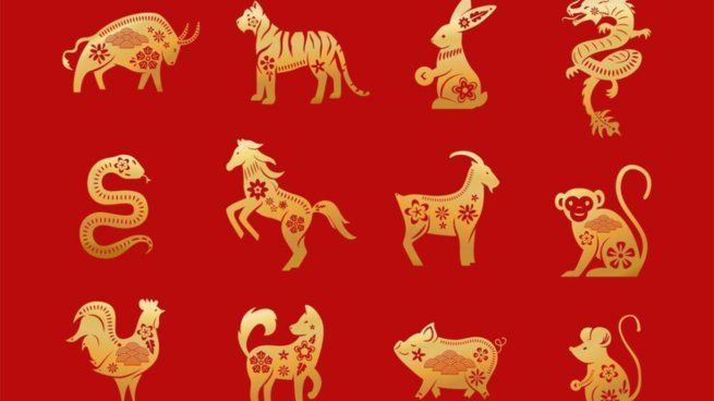 Cabra, Chancho, Serpiente, Perro, Gato, Rata, Búfalo, Gallo, Mono. Caballo, Dragón y TIgre, son los doce signos del horóscopo chino.