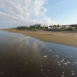 estas son las 16 playas mas limpias de veracruz para visitar sin miedo en 2026 estas son las 16 playas mas limpias de veracruz para visitar sin miedo en 2026