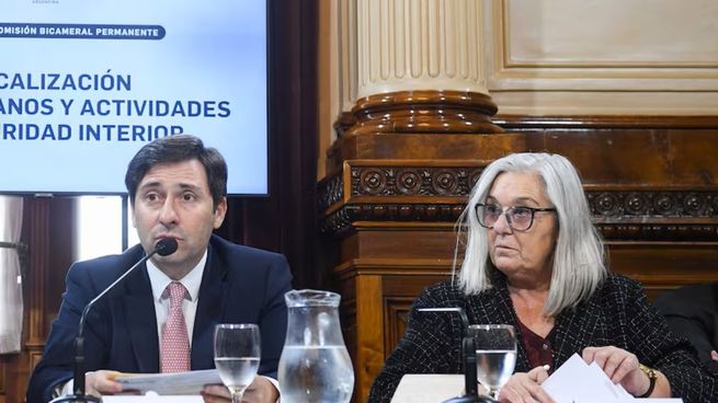 Goerling y Terenzi volverán a compartir bloque, luego de lo que fue la ruptura de Juntos por el Cambio.