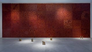 Superficie de dolor. Instalación de sitio específico. Telgopor y cera. 1000 x 400 x 5 cm. 2026. Superficie de dolor. Instalación de sitio específico. Telgopor y cera. 1000 x 400 x 5 cm. 2026.