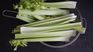 Celery juice is especially beneficial in weight loss diets. Celery juice is especially beneficial in weight loss diets.