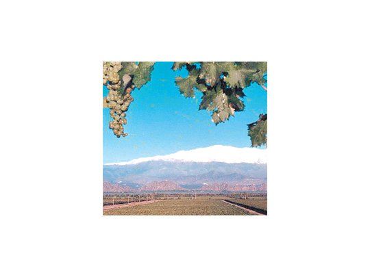 Brilla Chilecito, al pie del Famatina