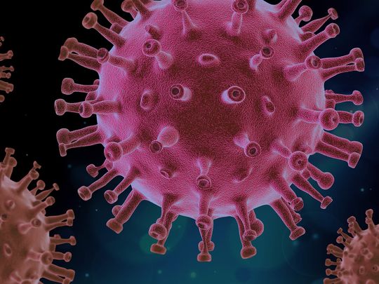 covid 19 como es la nueva variante sudafricana que pone en alerta al mundo