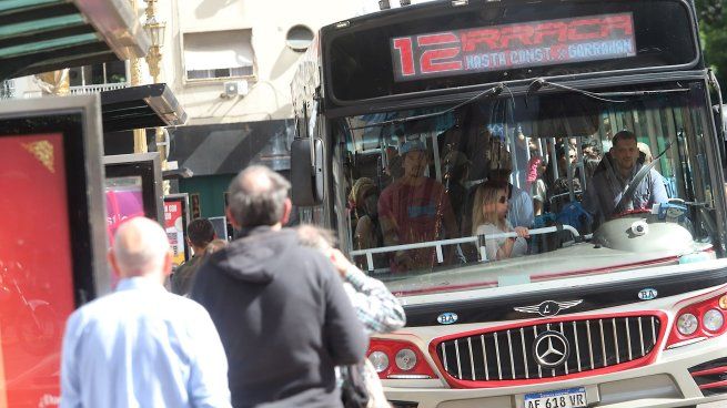 Colectivos Pasajeros Transporte Publico