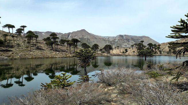 Laguna Escondida es un oasis oculto que ofrece las mejores vistas del turismo de Neuquén.