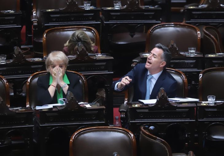 Giudici y Bornoroni, referentes libertarios en Diputados.