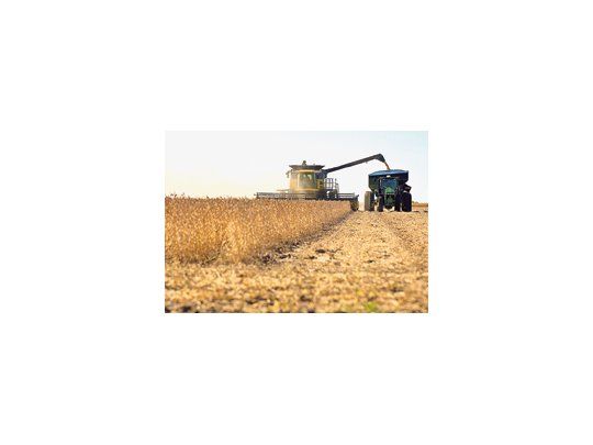 La Bolsa de Comercio de Rosario señaló que las precipitaciones sobre la región núcleo productiva ocasionaron la ralentización, «hasta paralizar» las tareas de soja en el área.