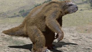 desentierran restos fosiles de un perezoso gigante hallados en un sitio natural de humahuaca