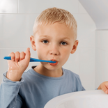 rofeco: los beneficios de utilizar pasta dental todos los días rofeco: los beneficios de utilizar pasta dental todos los días